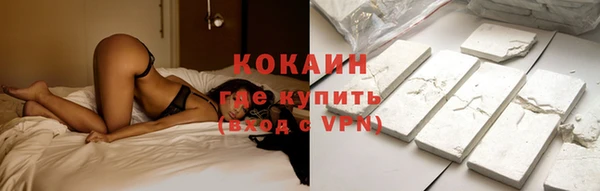 твердый Богородск