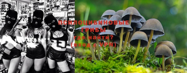 первитин Богородицк