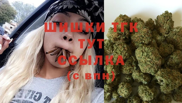 твердый Богородск