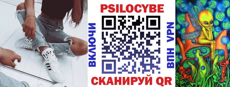 где продают   Донской  Галлюциногенные грибы Magic Shrooms 